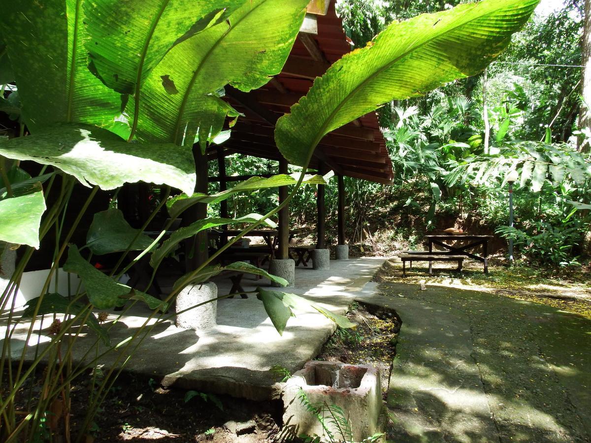 Selva Color - Forest & Beach Ecolodge Quebrada Ganado Esterno foto