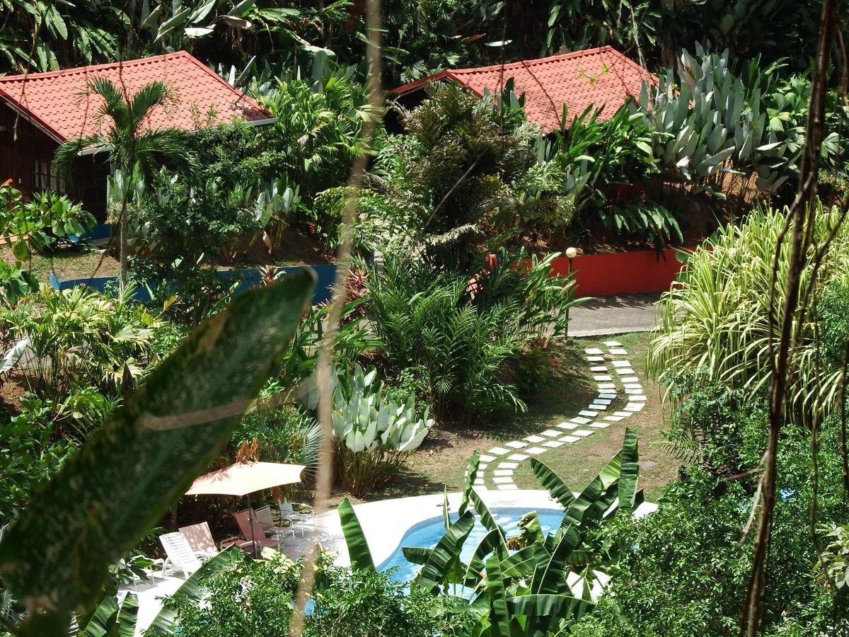 Selva Color - Forest & Beach Ecolodge Quebrada Ganado Esterno foto