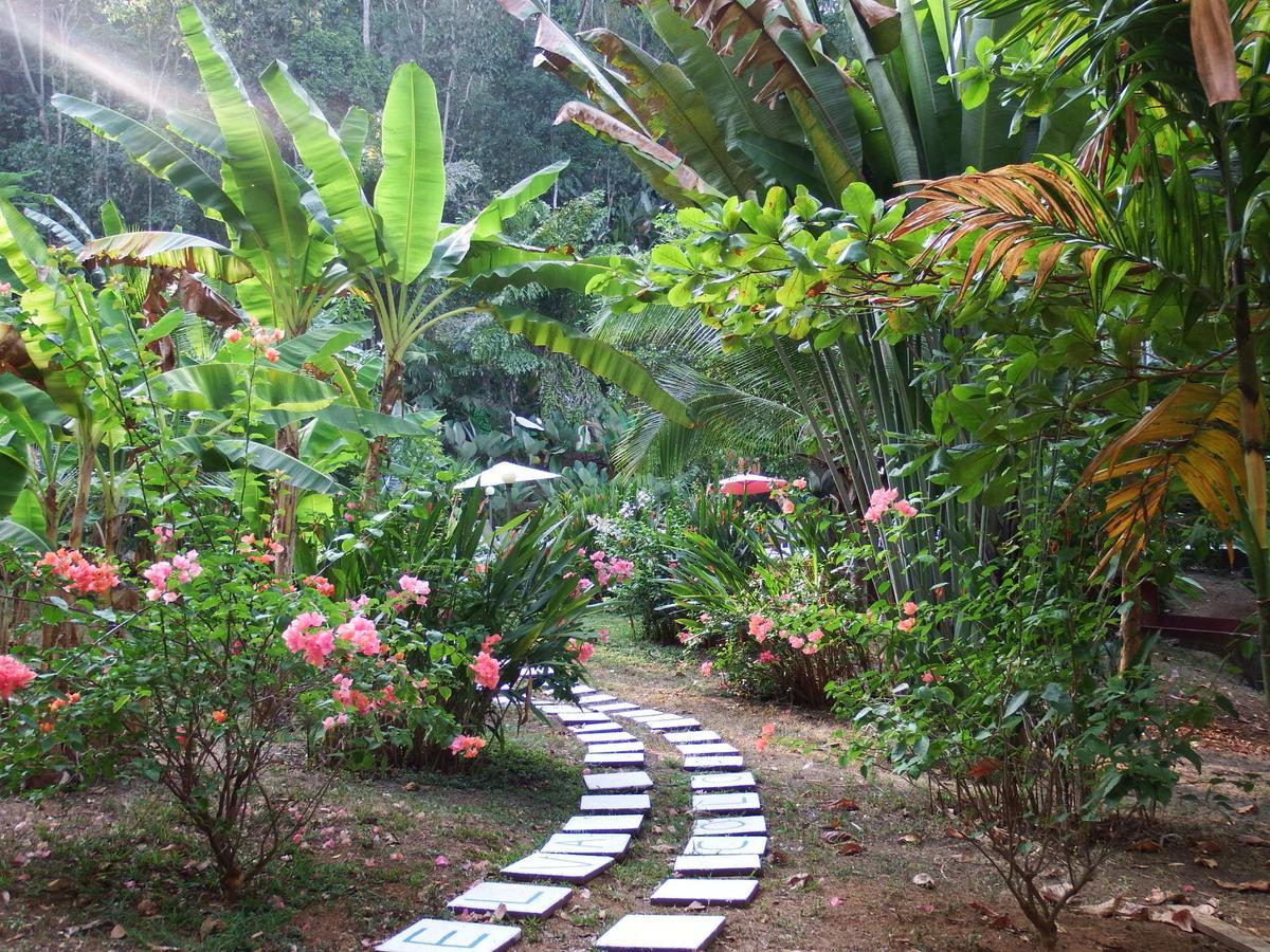 Selva Color - Forest & Beach Ecolodge Quebrada Ganado Esterno foto