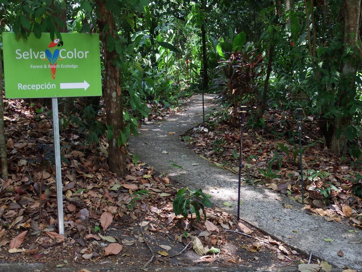 Selva Color - Forest & Beach Ecolodge Quebrada Ganado Esterno foto