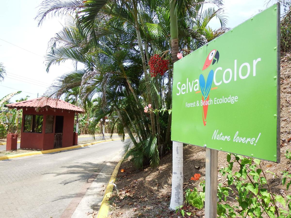 Selva Color - Forest & Beach Ecolodge Quebrada Ganado Esterno foto